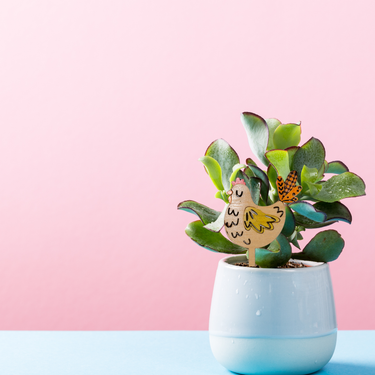 Sproutzilla - Unicorn Fart Productions